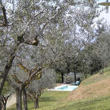 Il Poggio Delle Ginestre Pensionat Torgiano Eksteriør billede