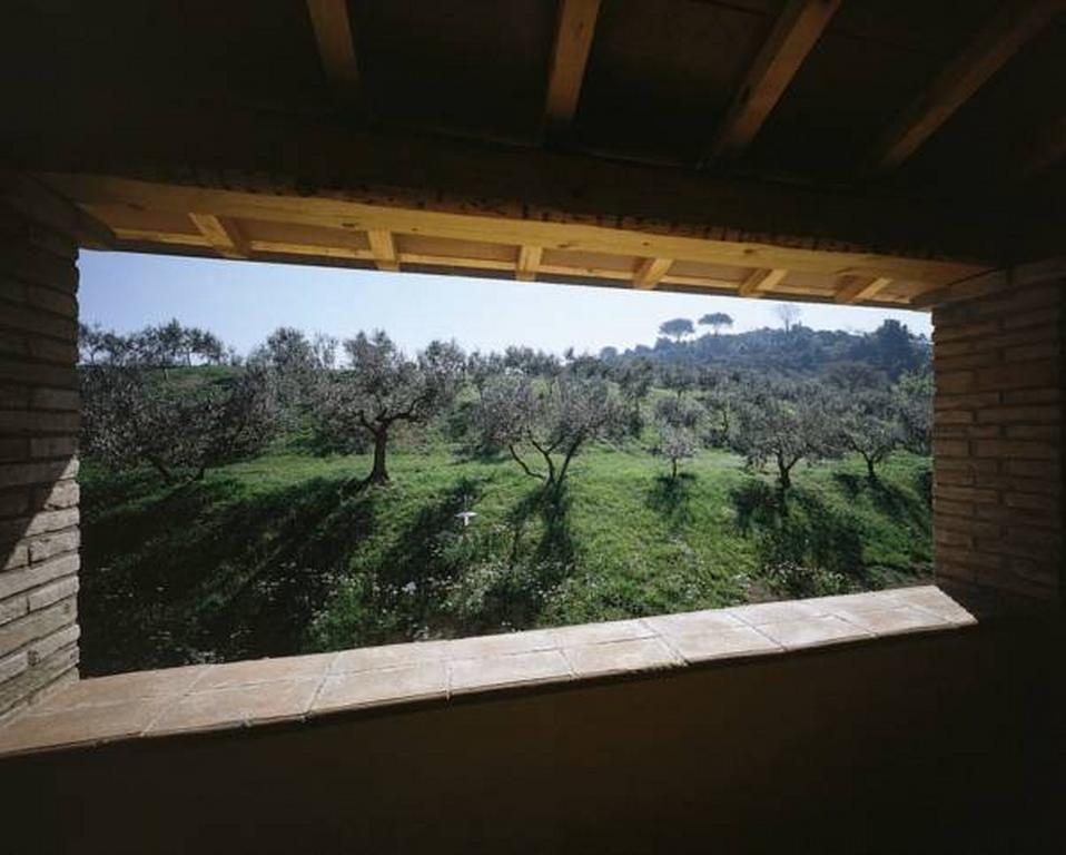 Il Poggio Delle Ginestre Pensionat Torgiano Eksteriør billede